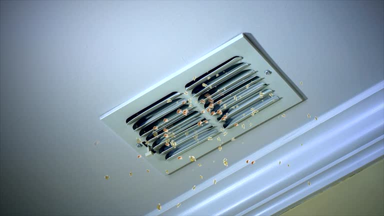 Best Home Air Vent Cleaning  in Fort Leonard Wood, MO