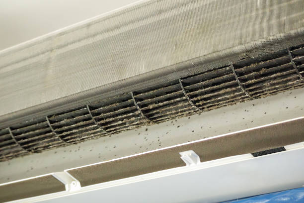 Best Air Duct Cleaning Near Me  in Fort Leonard Wood, MO